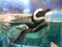 wphoto05nov2 055.JPG